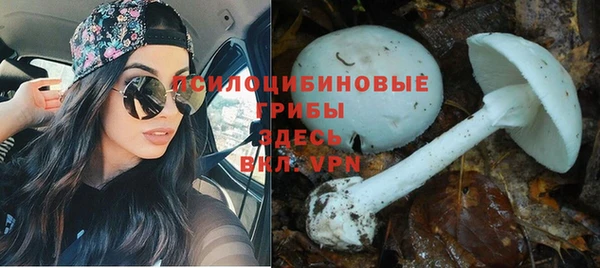 марихуана Алексеевка