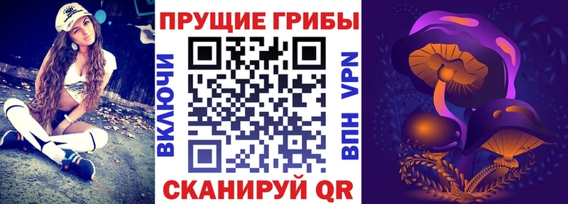 купить наркотик  Белгород  Псилоцибиновые грибы мицелий 