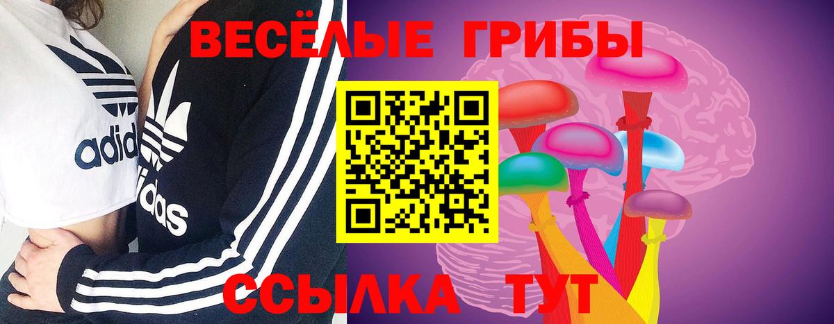 Псилоцибиновые грибы Psilocybine cubensis Белгород